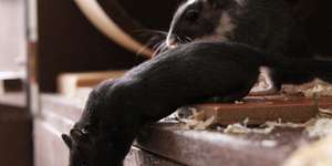 Ungeeignete Einrichtung