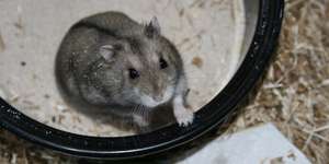 Ungeeignete Einrichtung