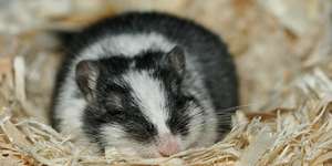 CT 06/2011 Stuttgart