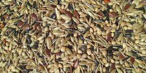 Getreide, Sämereien, Nüsse