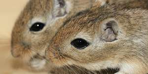 Ungeeignete Methoden