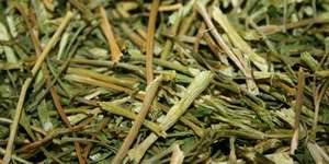 Kräuter und Blüten