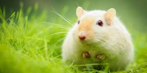 Informationen zur Werbung