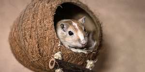 Techniker(in) werden